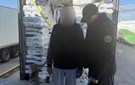 Чоловік ховався в памперсах, щоб в'їхати в Україну