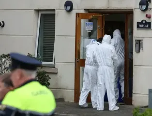 Мігрант з Сомалі зарізав 17-річного українця: посольство про резонансне вбивство в Ірландії
