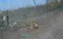 Elimination of Russian infantry by drones of 414th USF Brigade. VIDEO