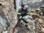 Из-под обломков — тихое скуление: в Доброполье пес выжил после авиаудара и дождался спасателей