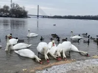Зима скує Україну: синоптики попереджають про рекордні морози та сніговий колапс