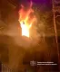 Россияне атаковали "Шахедами" образовательное учреждение в Запорожье: какие последствия ночного обстрела (фото)