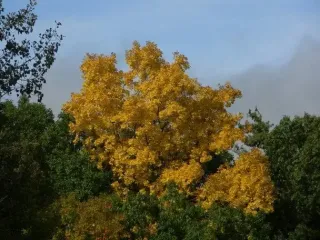 Погода на 18 жовтня: знову дощі і прохолода