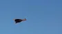Russia attacks Poltava Oblast with drones overnight: civilian business warehouse catches fire