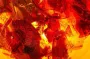 Виявлено бурштинову "капсулу часу" з комахами віком 112 млн років