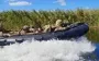 ЗСУ відбили всі атаки біля Покровська - Генштаб