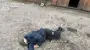 Россияне атакуют Харьковскую область: погиб человек, еще 6 пострадали