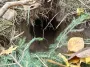 Польские пограничники обнаружили туннель на границе с Беларусью (фото)