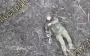 In crosshairs of Ukrainian drone: wounded occupier shoots himself in head on battlefield. VIDEO