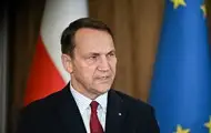 Сікорський: Ірану краще не продавати дрони Росії