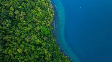 Люди достигли нового предела в "уничтожении" Земли: уровень CO2 в атмосфере достиг рекорда