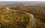 Рідкісний птах потрапив у об'єктив фотопастки в Чорнобильському заповіднику: унікальний кадр