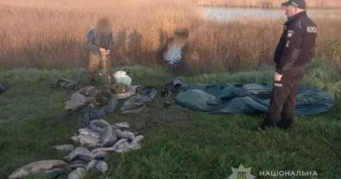 На Одещині судили браконьєра, який наловив риби на 215 тис. грн