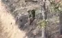 Occupier dashes through woods, jumps into anti-tank trench, removes his helmet and shoots himself. VIDEO 18+