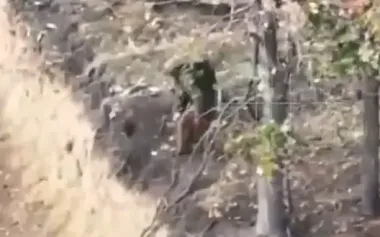 Occupier dashes through woods, jumps into anti-tank trench, removes his helmet and shoots himself. VIDEO 18+