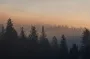 Что скрывается среди деревьев: пара туристов поделилась удивительной находкой