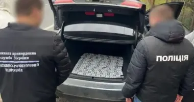 На Закарпатті затримали чоловіка, який за 12,5 тис. доларів намагався організувати схему незаконного перетину кордону