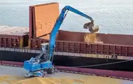 Україна відкрила 17 ринків для агроекспорту з початку року