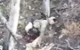 "Without pants and with legs torn off": drone of 414th Brigade rips occupier apart. VIDEO 18+