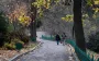 Солнце на западе, дожди на востоке: какой сегодня будет погода в Украине