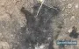 "Magyar’s Birds" drone fried the occupier’s skull and tore off his legs. VIDEO 18+