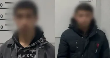 Двойное убийство пенсионеров на Закарпатье: к делу причастны несовершеннолетние