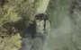 Fighters from 412th Nemesis Regiment of USF burned down Russian tank. VIDEO