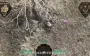 Strike drones of 214th SAB eliminated nine Russian assault troopers - no one escaped. VIDEO