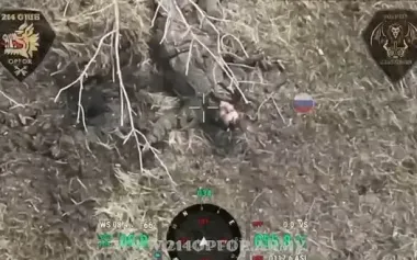 Strike drones of 214th SAB eliminated nine Russian assault troopers - no one escaped. VIDEO