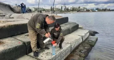 У водах Чорного моря зафіксовано перевищення допустимих показників забруднення