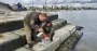 В водах Черного моря зафиксировано превышение допустимых показателей загрязнения