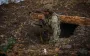108 combat engagements recorded on frontline, most of them in Pokrovsk and Kostiantynivka directions – General Staff