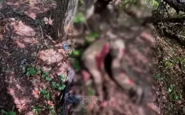 Ukrainian SRG took out three shelters and 13 occupiers in Sumy direction. VIDEO