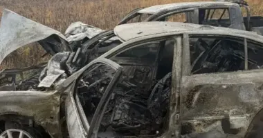 В Харьковской области в ДТП погибла 35-летняя женщина, пострадали трое, среди них 7-летний ребенок
