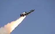 В Чехии собирают средства на украинскую баллистическую ракету Фламинго