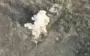 Ukrainian pilots destroyed unit of occupiers, command post, and position of enemy drone operators in Kupiansk direction with aerial bombs. VIDEO