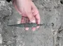 Прятался от людей 3000 лет: на балтийском побережье Польши нашли редкий артефакт (фото)