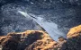 У ВСУ появятся "грифоны": на что способны Gripen, которые получит Украина