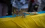 В Украине урегулировали правила захоронения и перезахоронения защитников: детали закона
