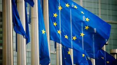 Бельгія наполягає на послабленні висновків саміту ЄС щодо використання росактивів – ЗМІ