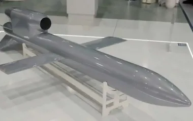 Чехи собрали деньги на ракету "Фламинго" для ВСУ за двое суток