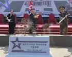 ‘Sacred sanctuary’: North Korea starts building memorial to soldiers killed in Ukraine war