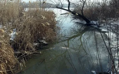 Зима близко? Синоптики сказали, когда на Днепре и водохранилищах может появиться первый лед