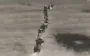 Ukrainian drone flies into assault group of ten occupiers wearing anti-thermal ponchos. VIDEO