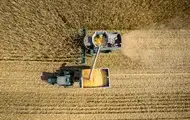 В Україні обмолочено 73% зернових площ