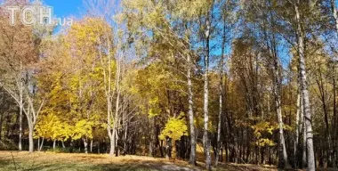 Яка погода очікує українців вихідними: прогноз синоптикині