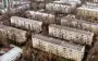 Хрущевкам дадут новую жизнь: что ждет устаревший жилищный сектор