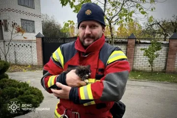 В Чернигове сотрудники ГСЧС выехали на спасение котенка (фото)