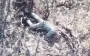 414th Brigade drones strike occupiers’ infantry. VIDEO