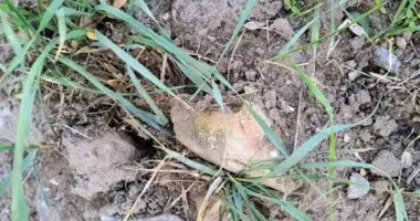 Біля автовокзалу Дніпра знайшли людські останки: стало відомо, що там було раніше